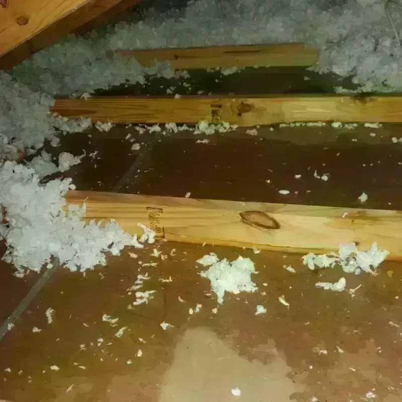 Attic Water Damage in East Peoria, IL