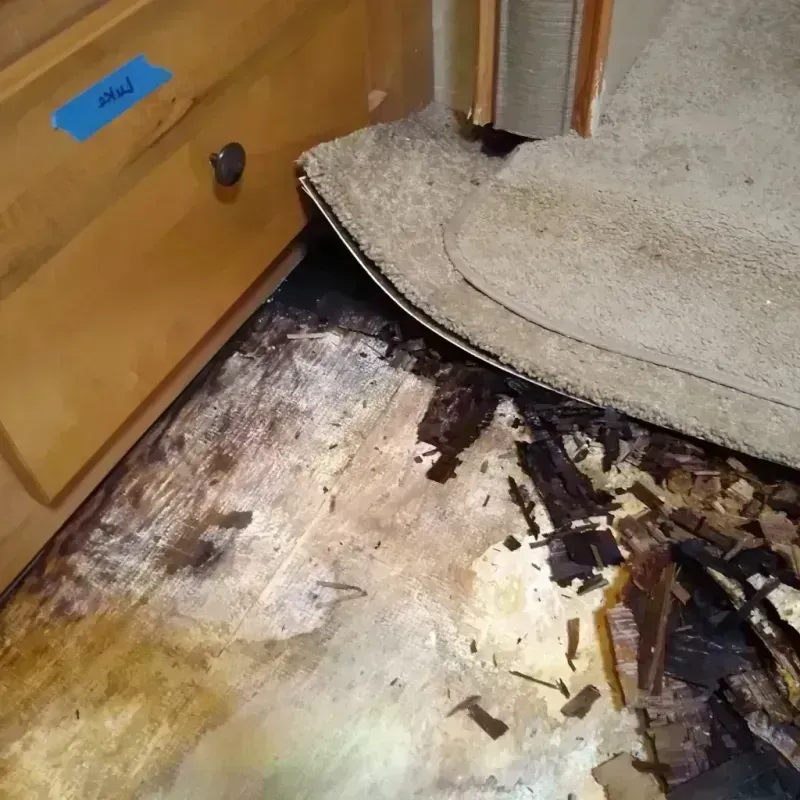 Wood Floor Water Damage in East Peoria, IL